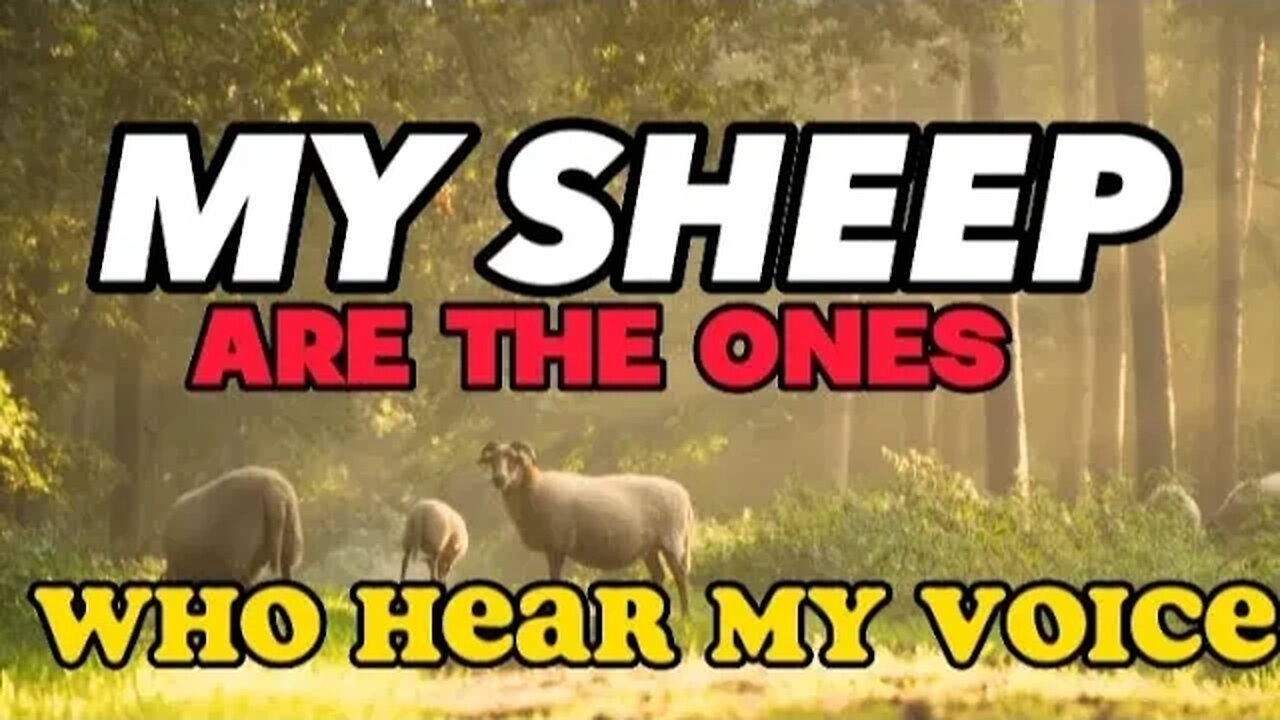 My Sheep Are The Ones Who Hear My Voice l Powerful Message l Priscilla Shirer