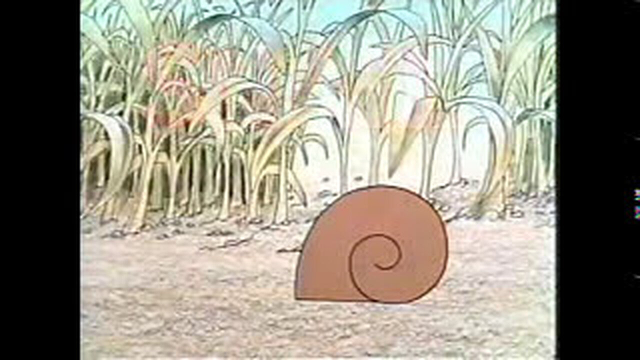 Classic Sesame Street - S for Snail