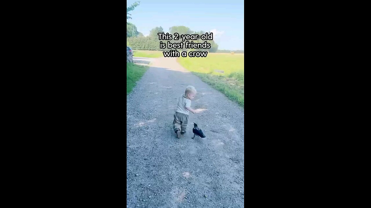 👍👌😘