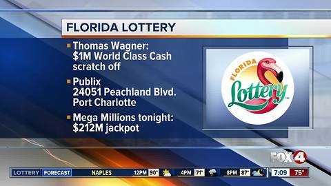 Port Charlotte man wins $1 million on Florida Lottery scratch-off ticket