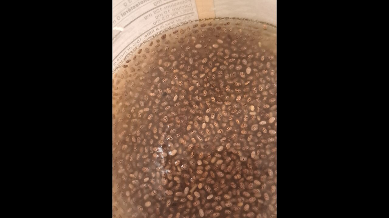 Pineapple Chia Kitchen Experiment Results