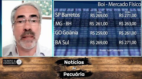 Boi encontra alento no mercado futuro que aponta arroba acima de R$300