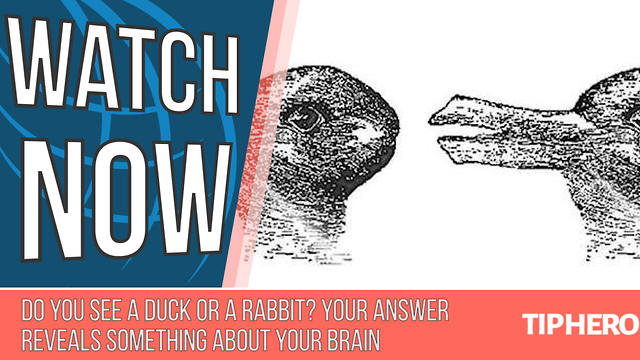 Do You See A Duck Or A Rabbit? Your Answer Reveals Something About Your Brain