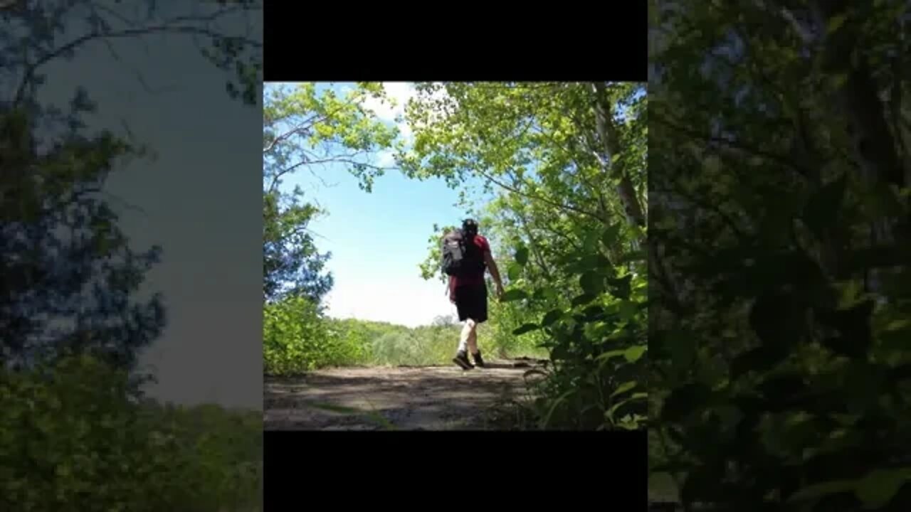 Hiking The Rouge National Urban Park In Ontario #short #shortvideo #shortsvideo #shorts #hiking