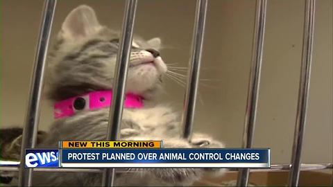 Union workers stage protest as County mulls plan to outsource Animal Control services