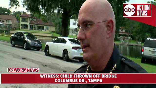 Child dies after witness reports she was thrown from bridge - presser