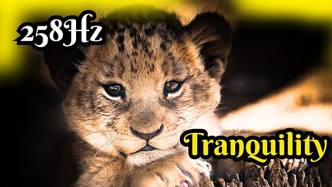 Deep Sleep. 258Hz. Binaural Beats for Tranquility