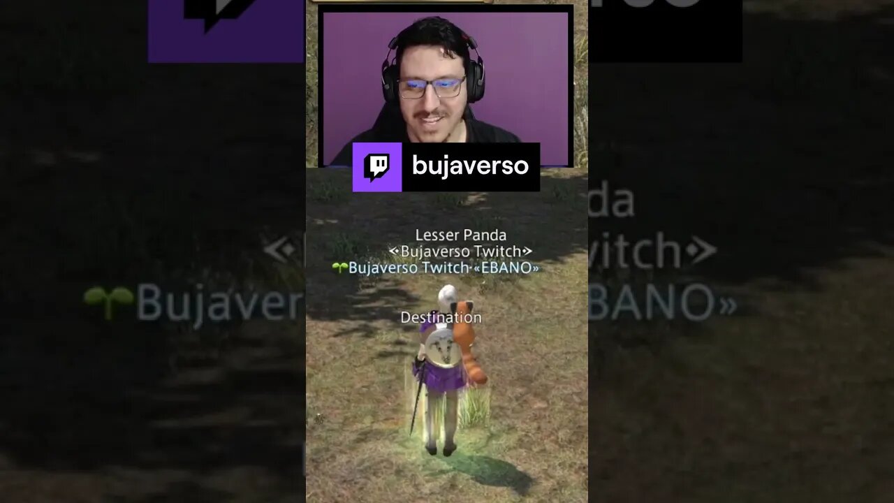 Chupar o que? | bujaverso em #Twitch