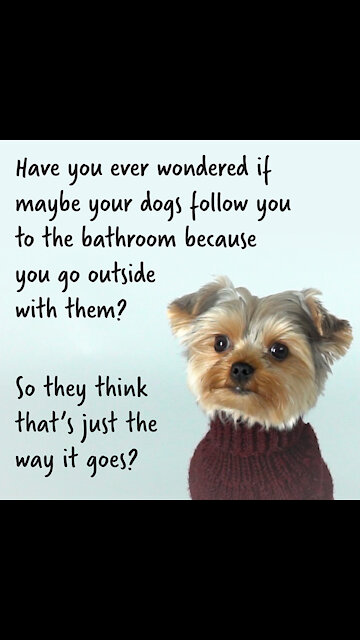 Have You Ever Wondered [GMG Originals]