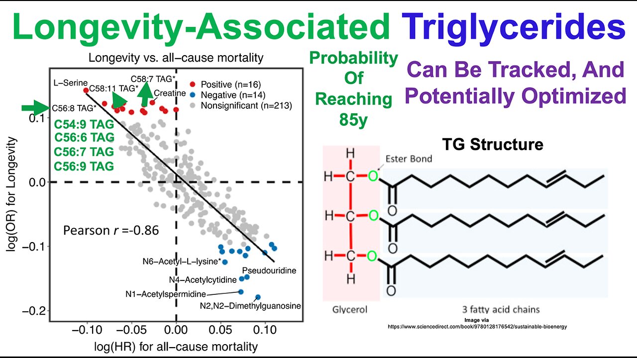 Longevity-Associated Triglycerides