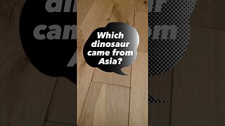 Dinosaur dad joke #dadjokes #jokes