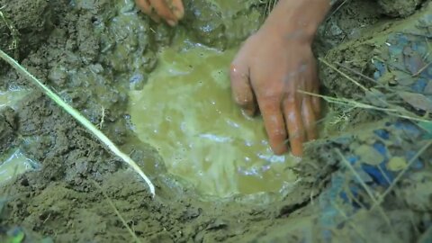 Find crab in water for cook | Eat crab and cucumber with carrots-10