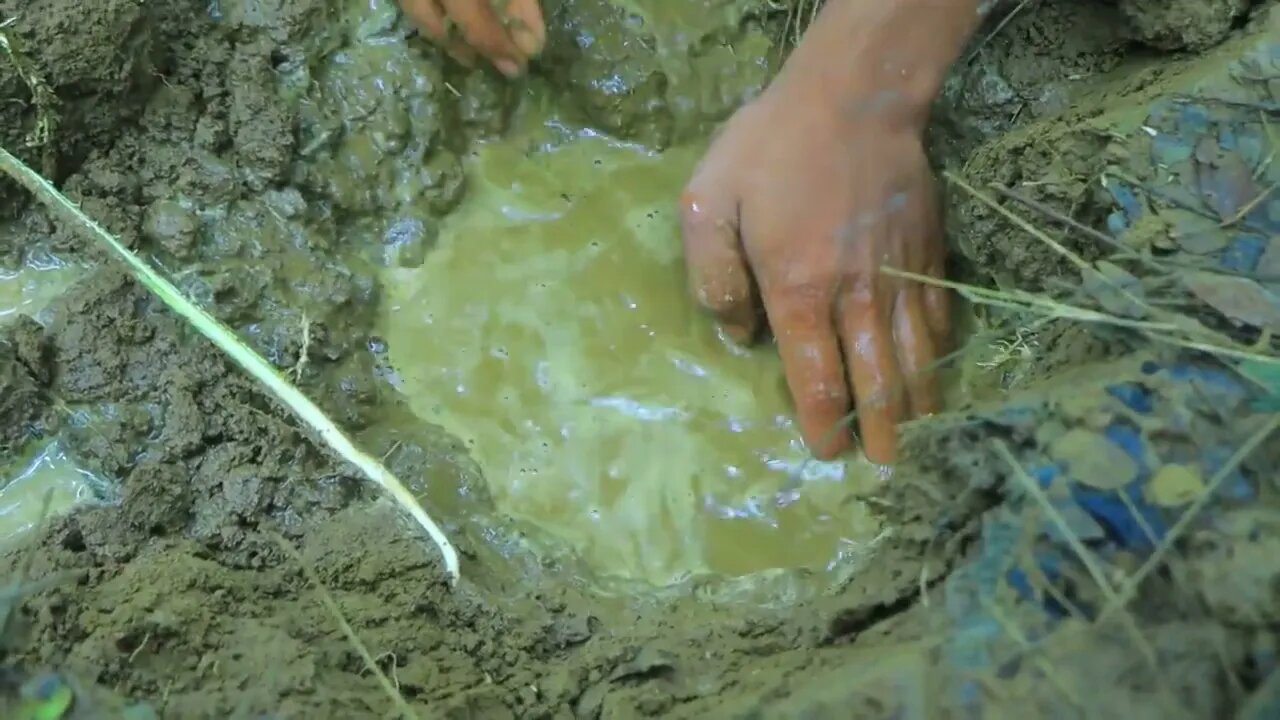 Find crab in water for cook | Eat crab and cucumber with carrots-10