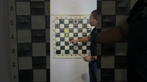 Pawn Promotion Made Easy!