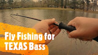 Fly Fishing for Texas Pond Bass