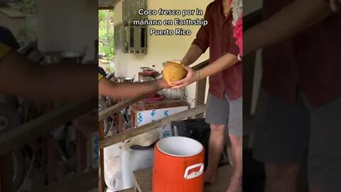 Nothing like fresh coconut