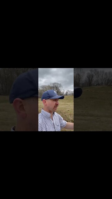 Calving update. #cattle #cowcalf #cattlefarm #farmlife #calving #farm #calvingseason #ranch #calf