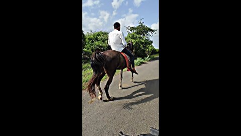 horse riding