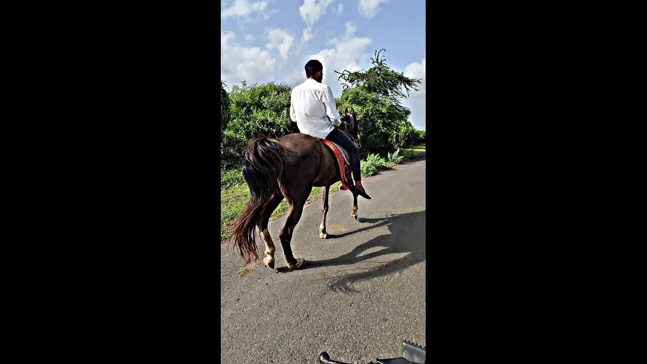 horse riding