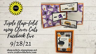 Make this Triple Fun Fold Card using Clever Cats from Stampin' Up!