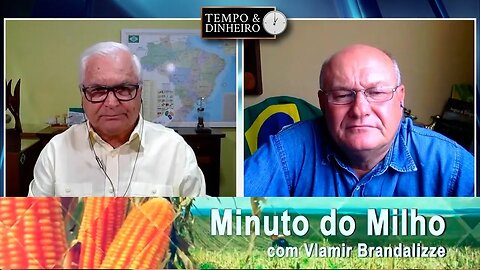 Milho fechando plantio com grande atraso
