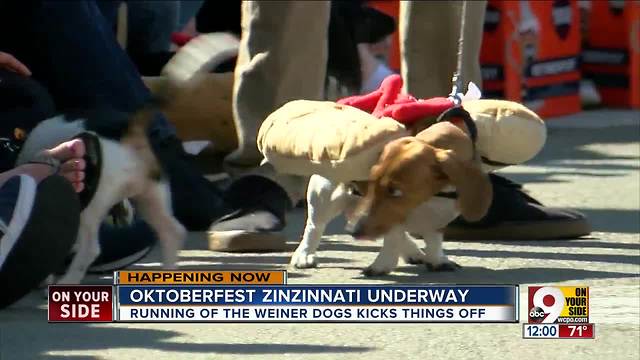 Oktoberfest Zinzinnati underway