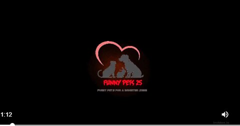 Funny Day