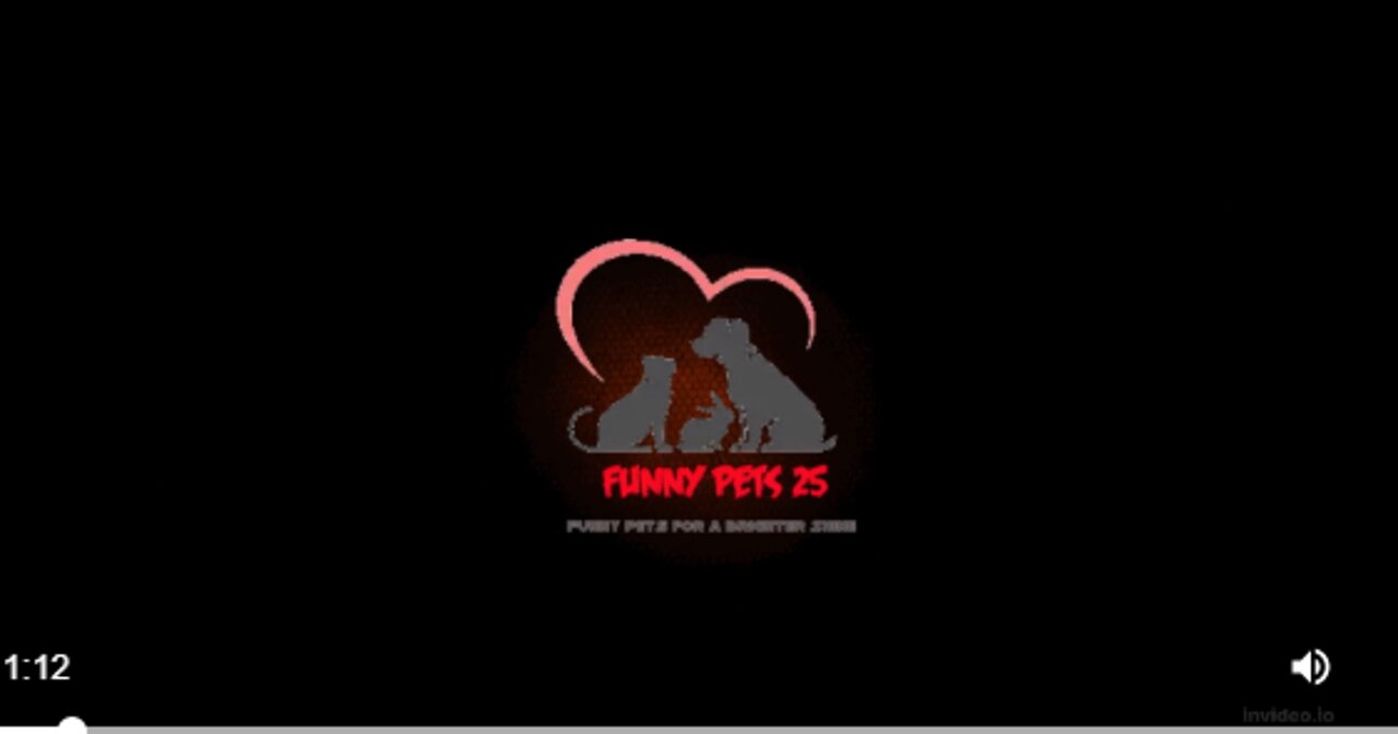 Funny Day