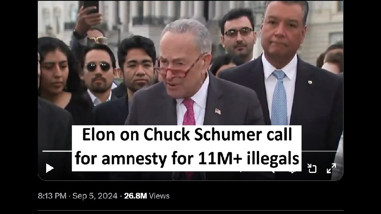 Elon on Chuck Schumer pushing for citizenship of 11 million plus illegals