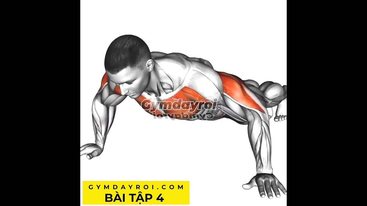 Bài Tập Push up Tốt Nhất