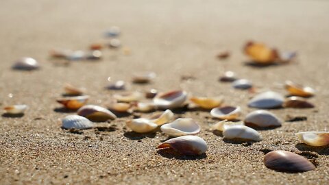 lets walk meditation