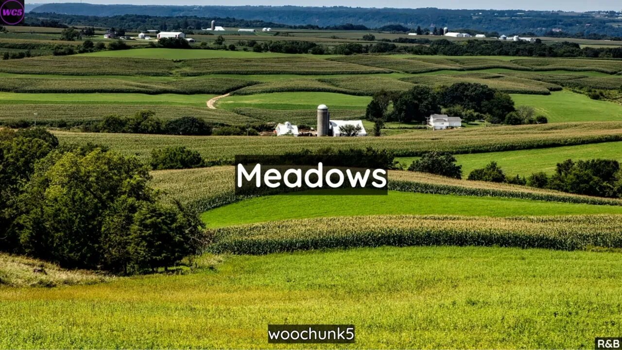 [FREE] Laid Back R&B Type Beat - Meadows | woochunk5