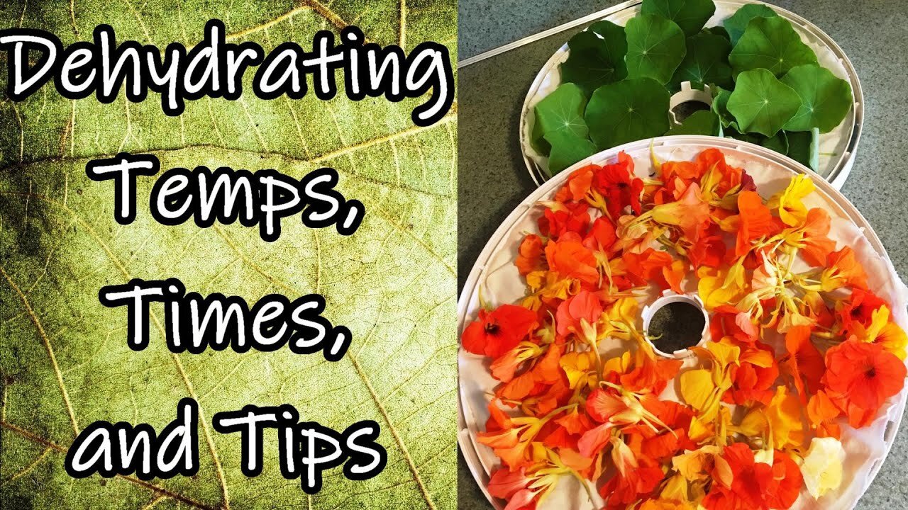 Dehydrating Temps, Times, and Tips