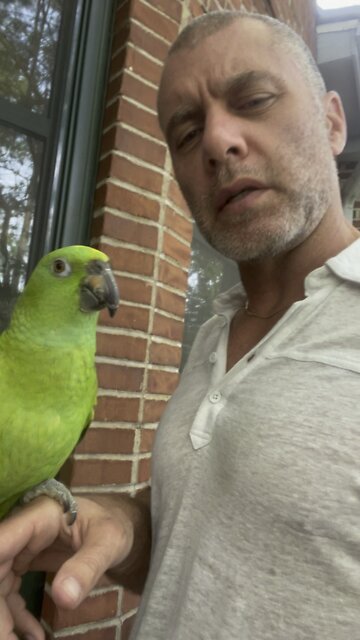 Pistachio the parrot and a moral about gold relationships and free expression.