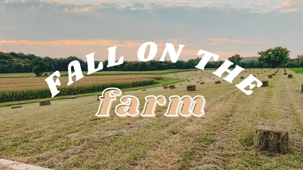 Let's talk fall to-do's on the farm & put up some hay!