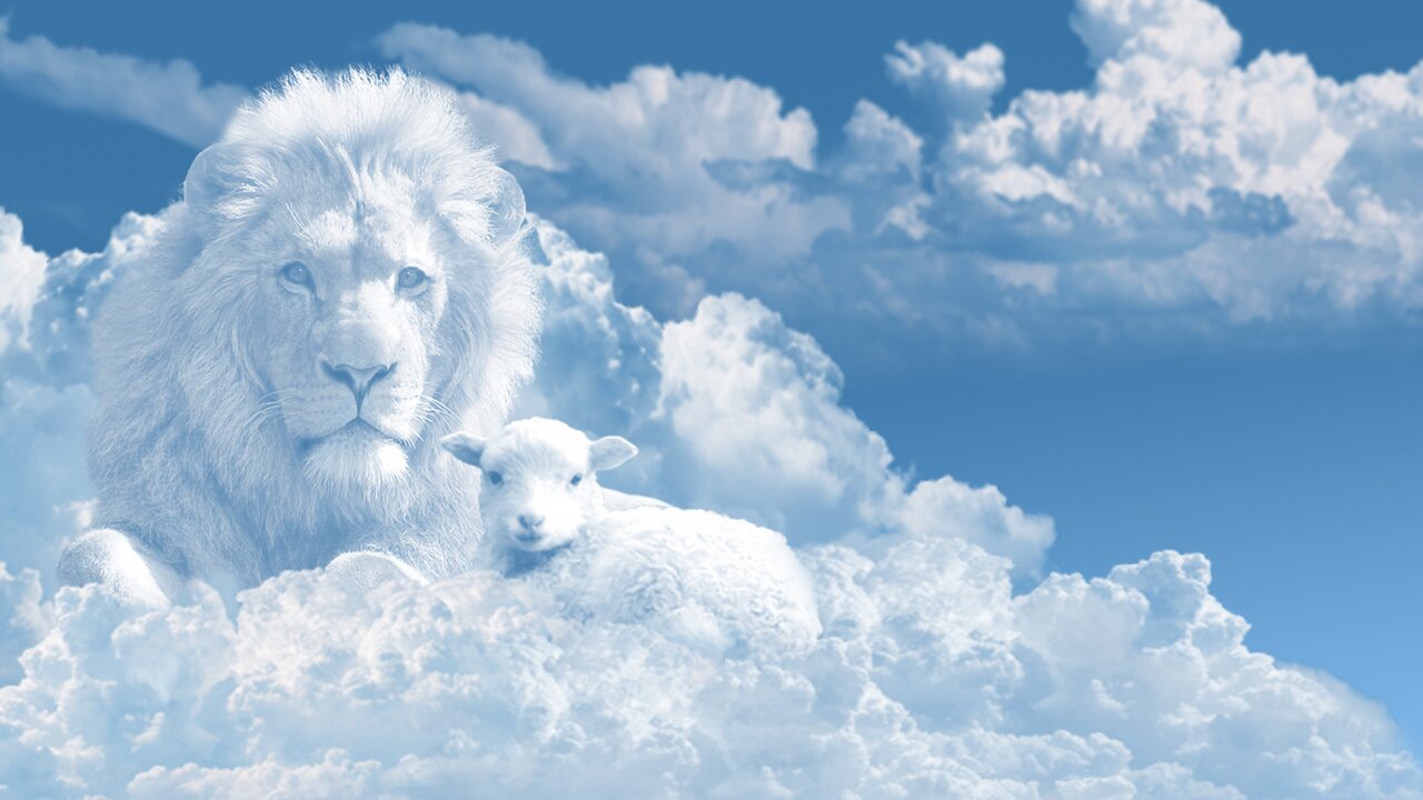 8-8-24 Meditation - Lions Gate Amplifying Your Creations and Mankind