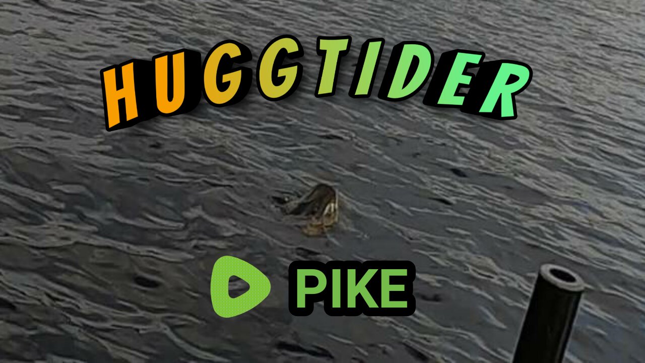 Pike biting on hooked perch! W/ English subtitles