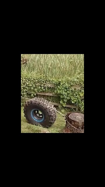 Stump removal using a tyre 😳#Shorts #ytshorts #dailyhackness #challenges #doityourself #useful