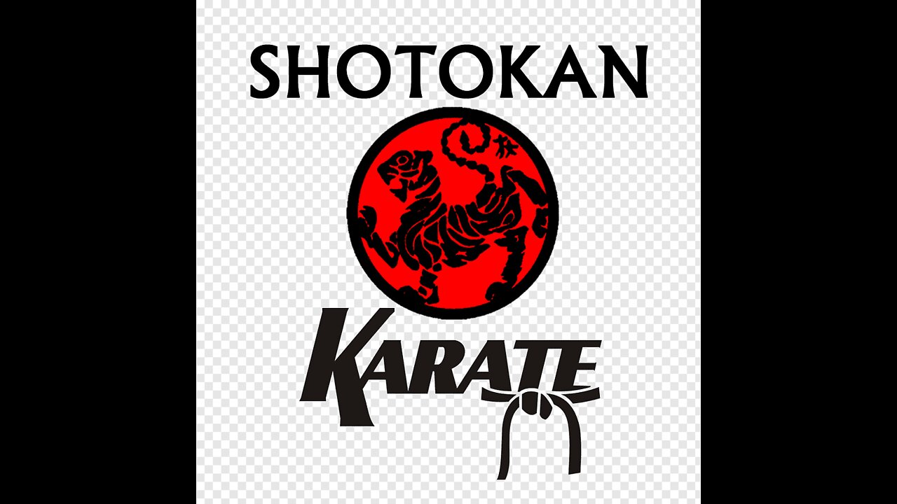 Karate Shotokan All Basic Katas (Back and Mirrored View to Train Along)