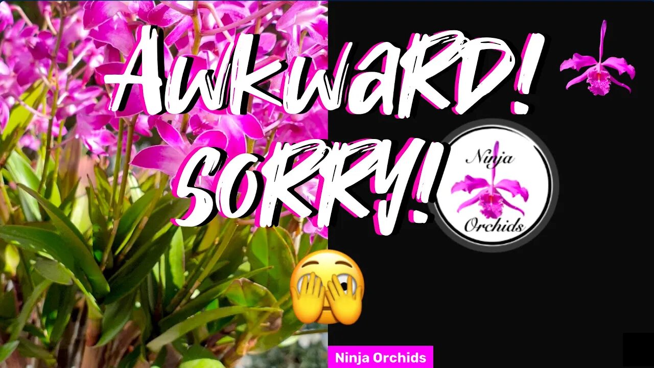 🎤About Last Night!! 😓 Test | I am sorry for the inconvenience last night 😔 #ninjaorchids #livestream