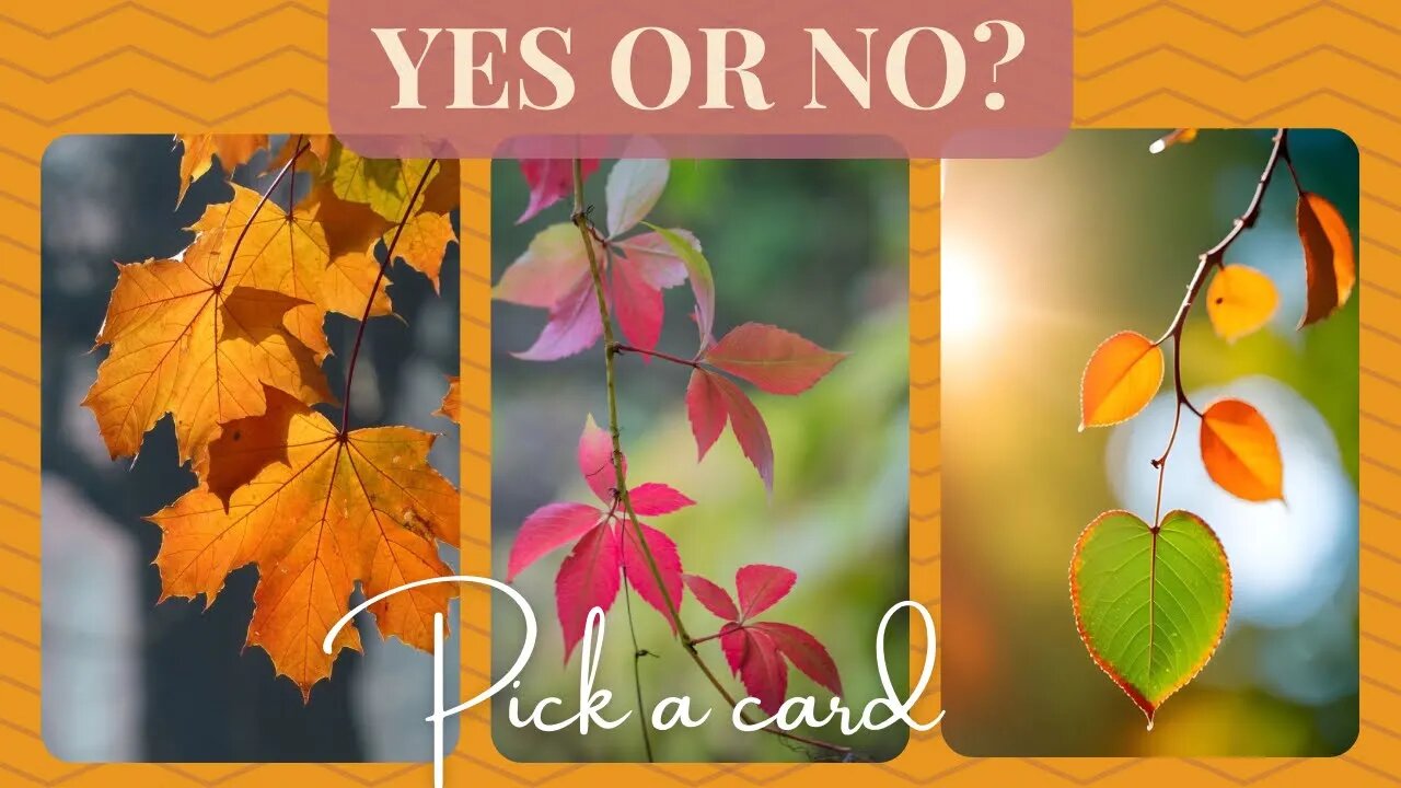 QUICK TAROT READING | YES OR NO? & WHY 🍃 🍁| Pick a card #tarot