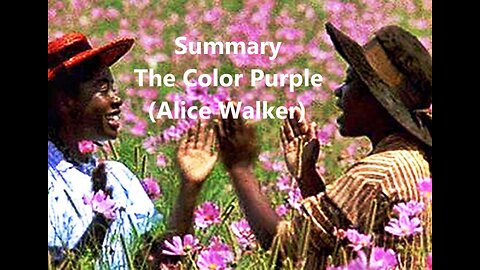 Summary: The Color Purple (Alice Walker)