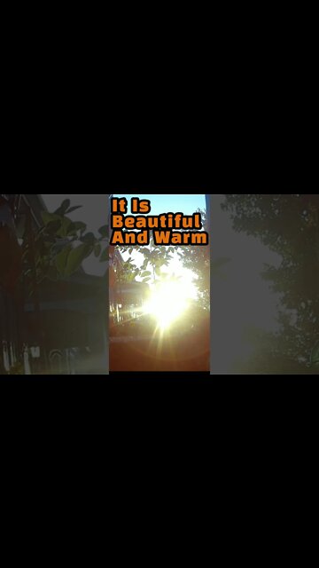 The Sun Shines Through #Shorts 🌞