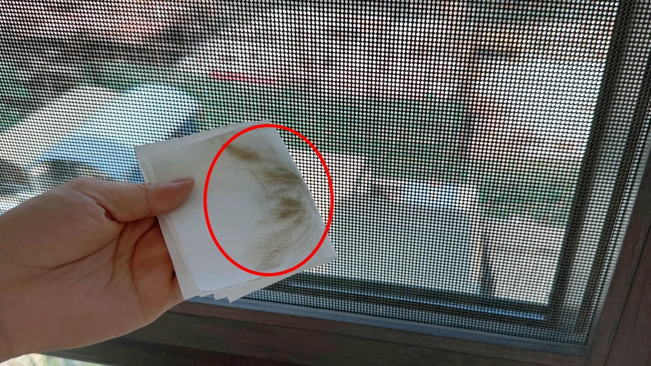 Dirty Window Screens❓One Trick to Clean Without Removing Them， [Awesome]，Simple，tips ， Life Hacks