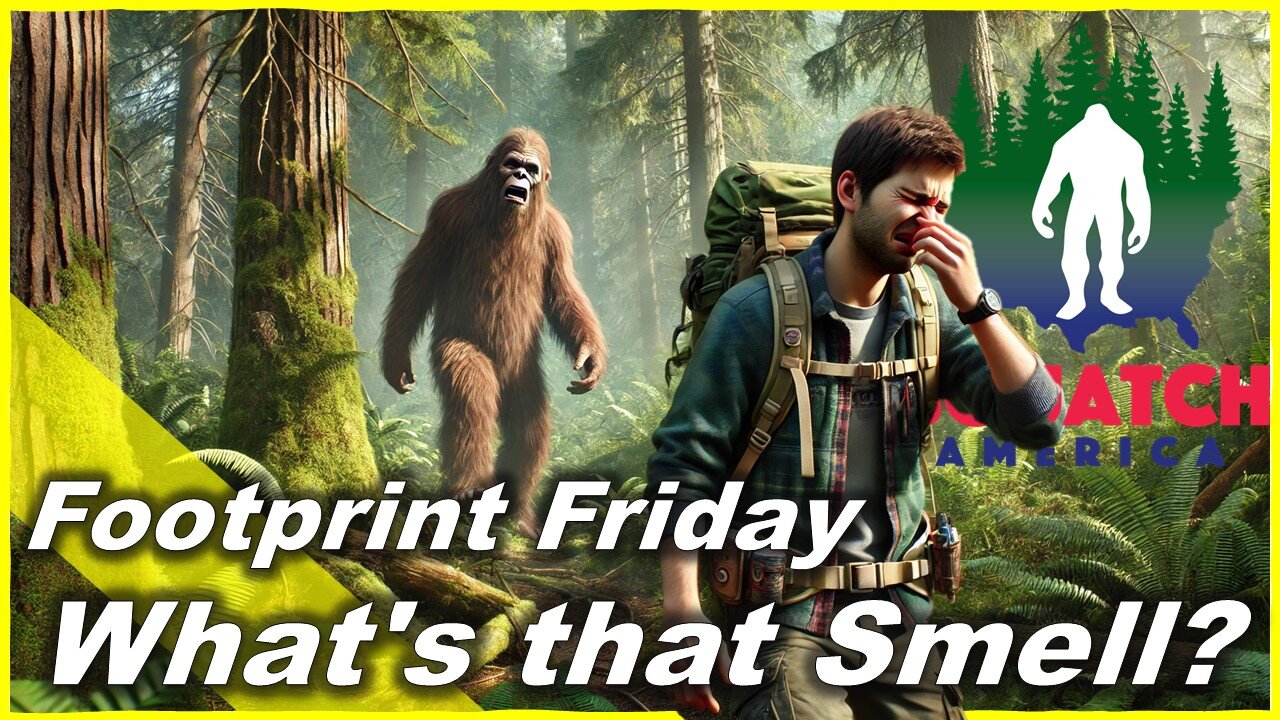 What's that Smell? The Bigfoot Stinky Mystery!