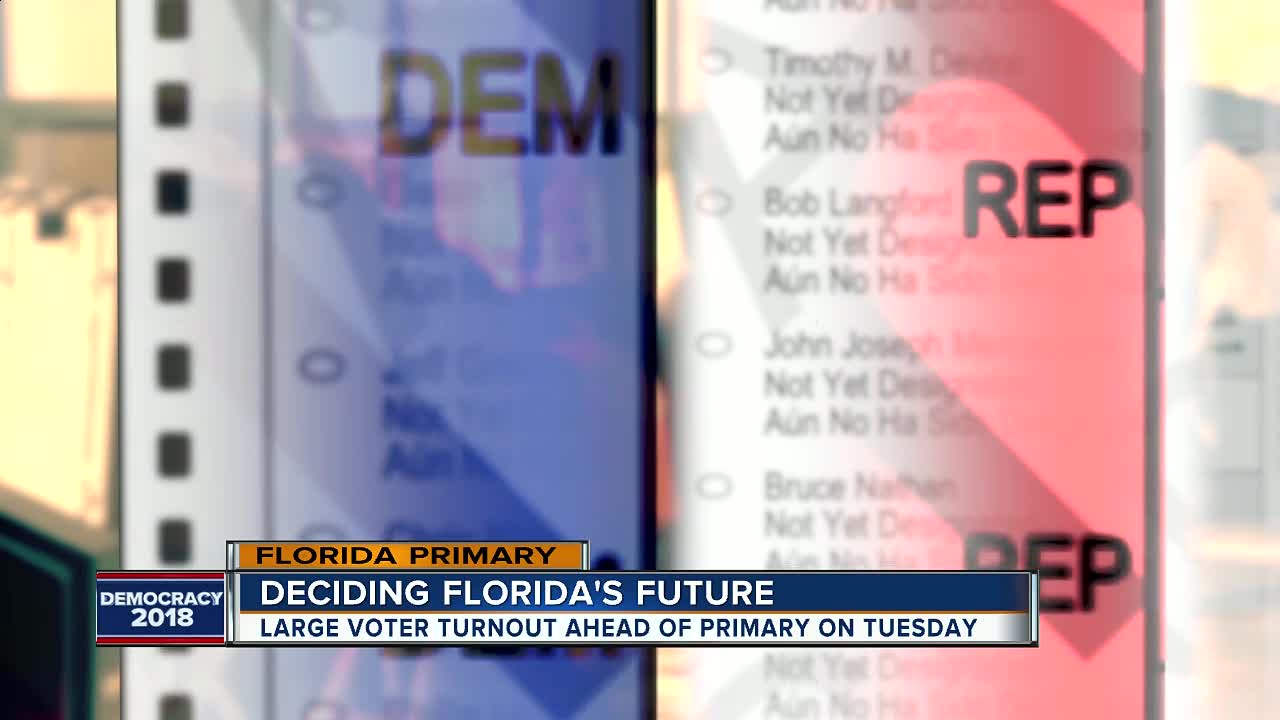 Early voters in Hillsborough County already top 2014 primary