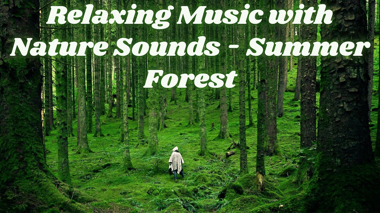 Relaxing Music with Nature Sounds - Summer Forest - unravel relaxing music + summer forest sounds