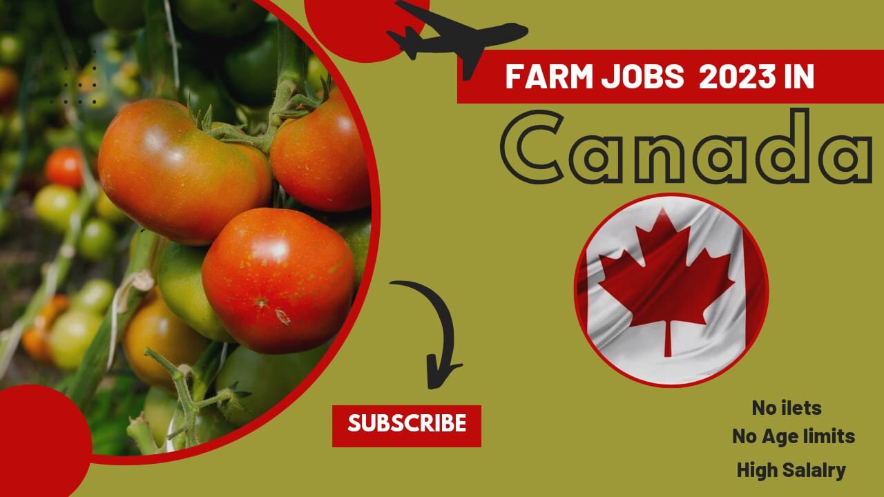 "Fruit Picker Jobs in Canada: Harvesting Opportunities Across the Maple Nation"