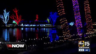 Catching up with the reindeer at Phoenix ZooLights!