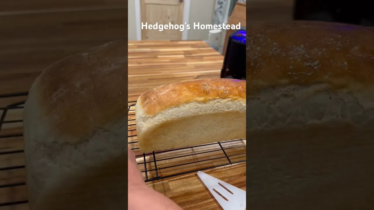 Nothing like a fresh loaf of bread right out of the oven #hedgehogshomestead